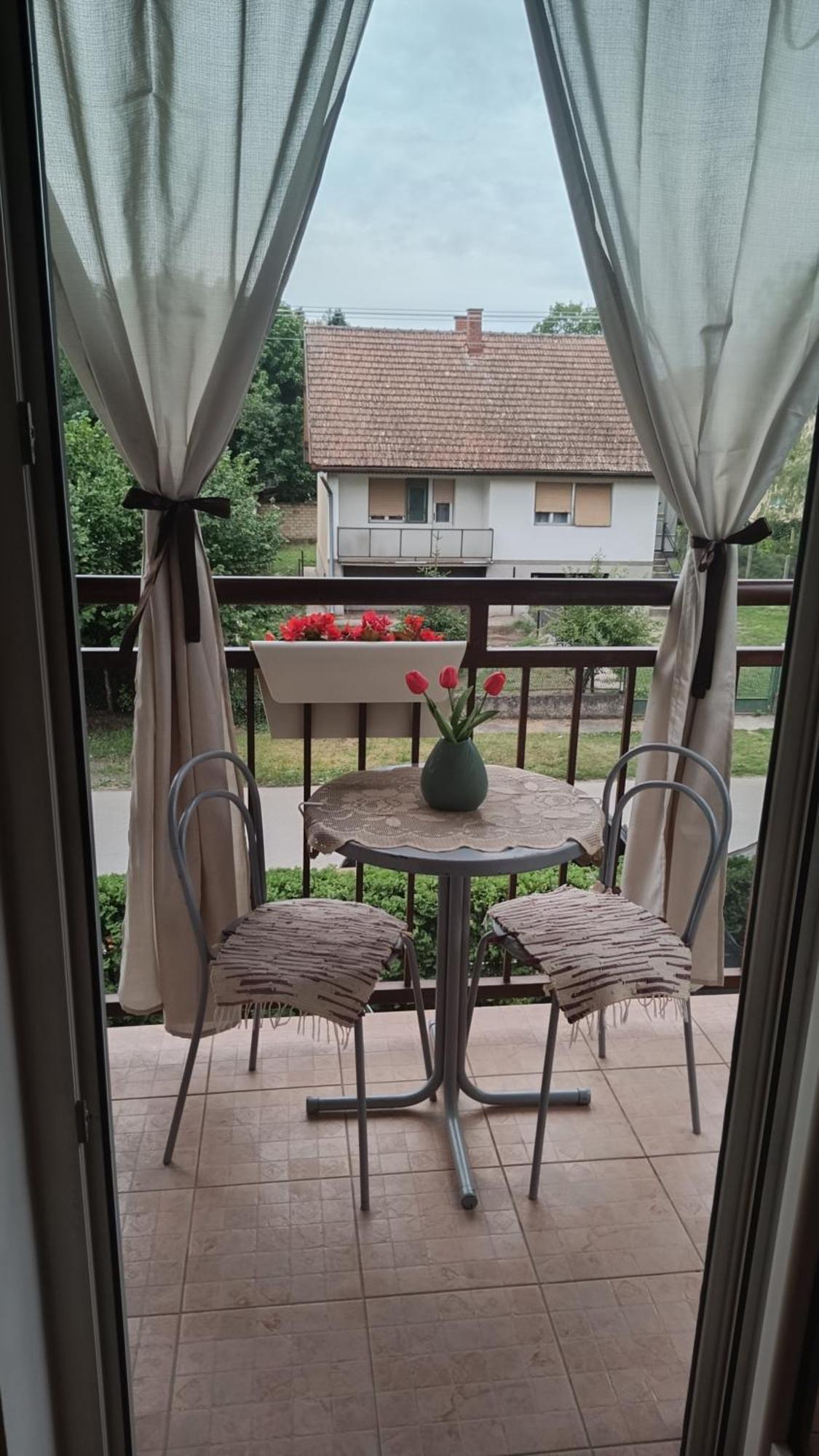 Dora Apartman Palic Exterior photo